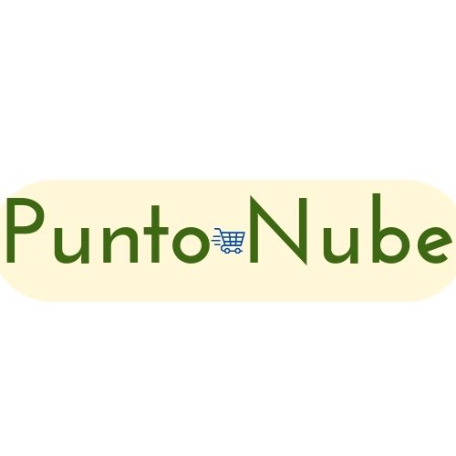 Punto Nube